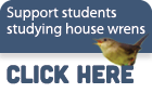 Support students studying house wrens