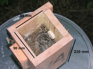 Nestbox dimensions and an old house wren nest.