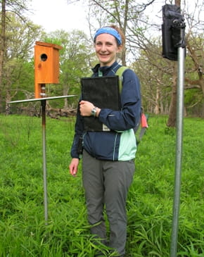Perceived-predation-risk experiment 2014
Erin Dorset with altered nestbox and digital camera
Photo by Charles F. Thompson