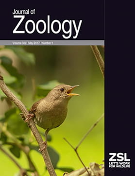 Journal of Zoology Cover

Will et al. 2017. Journal of Zoology 302(1): 1-7

Cover photograph by Dylan Poorboy