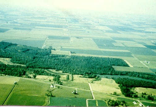 Aerial Photograph of the Mackinaw Study Area